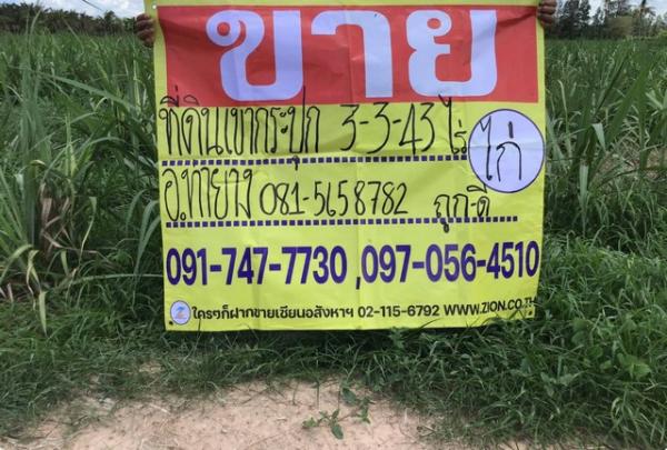 ���� �� zionasset1