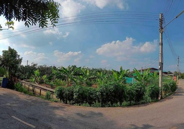 ������ �� zionasset1