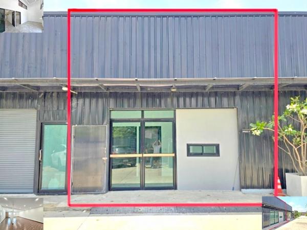 ���Ե �� calcunutgq