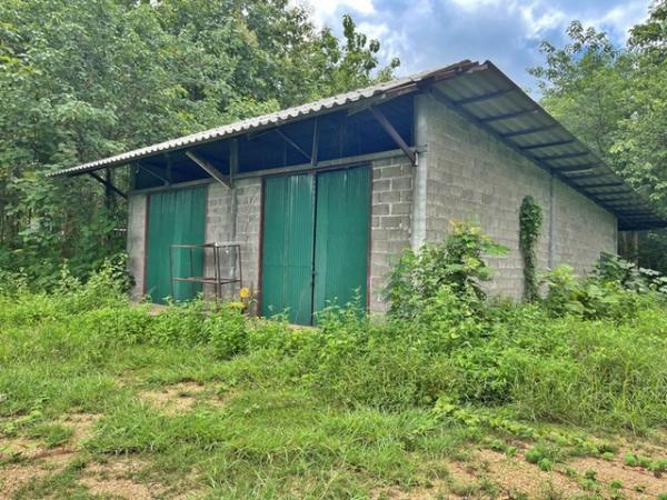 ��º�ҹ �Թ�ӻҧ