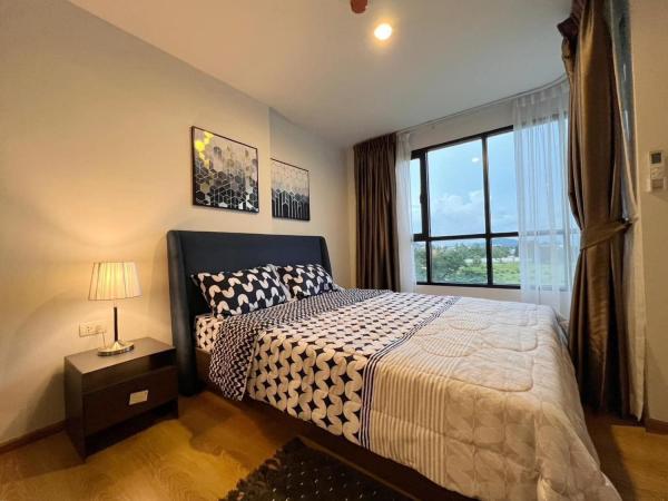 �͹�BigC 12,000 �ҷ�����͹