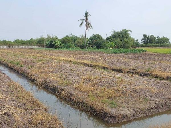 �����¹��� ���˹����ѧ�������Ѿ��