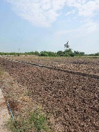 ���Թ 2,245 ���ҧ�Һҧ�Ź ��û��