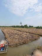 ���Թ �ҧ�Ź