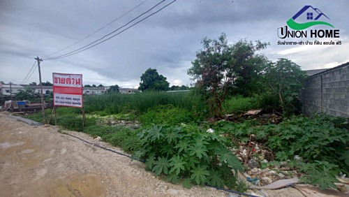 �����¹��� ���˹����ѧ�������Ѿ��