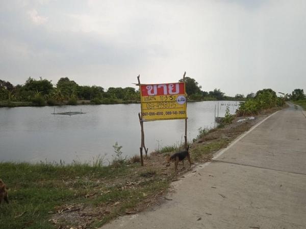 �ҧ��Ҹ� �� zionasset1