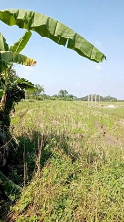 ����� �� northern1