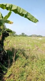 ��� ���Թ