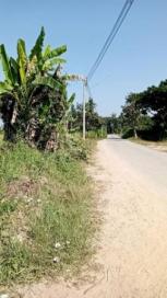 ���Թ �����