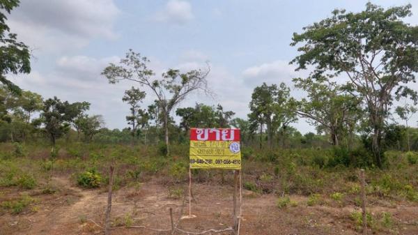 �� �� zionasset1