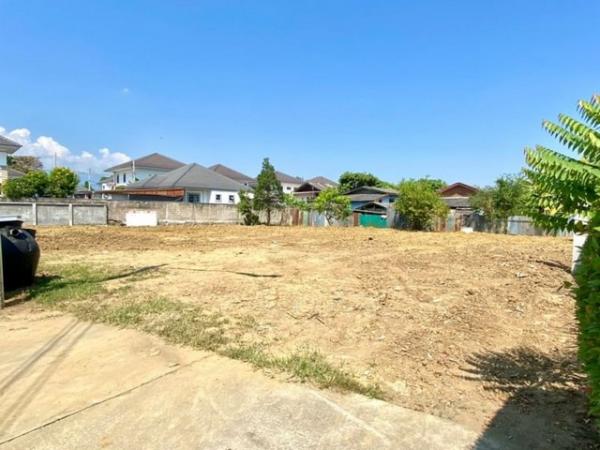 ����� �� onanong khumaphao