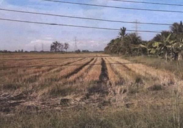 ��ªź��� �� Ingfar Pearkaew