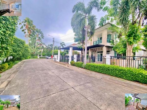 ��ҹ�ҡ��� �� nut.allentrepreneur