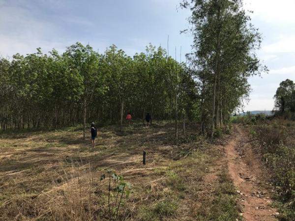 ��·��Թ �ҡ�� ���