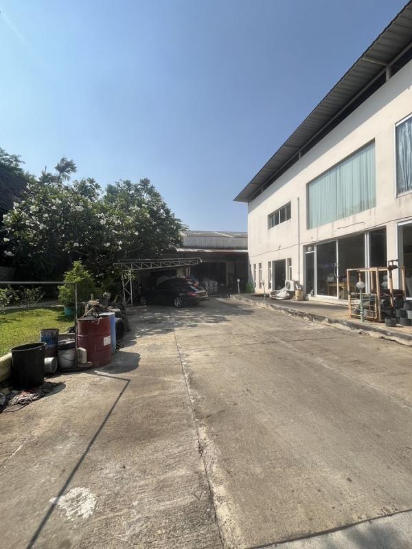 ���⡴ѧ �ҧ�͹��ا෾