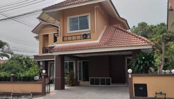 �Ң�ѭ �Ź�����