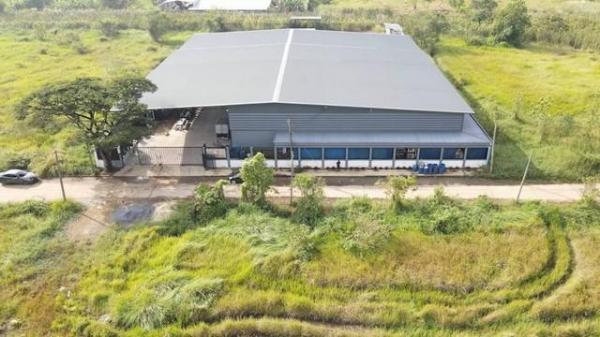 �ź��� �� coasset22