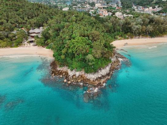 ��¸�áԨ ��ҧ����