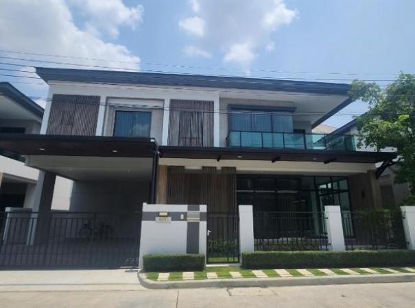 ��´͹���ͧ �� naorinpl