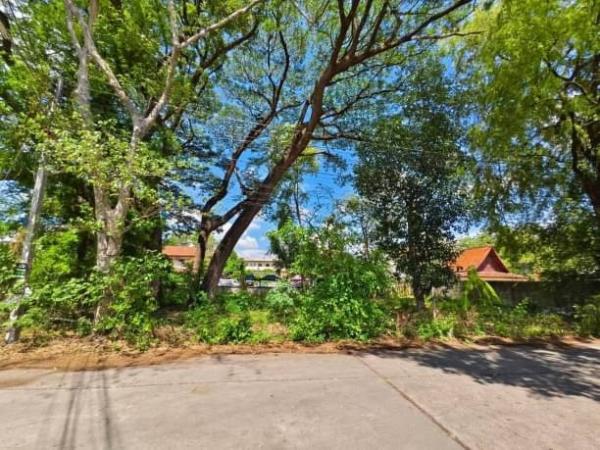 ���Թ���ͧ �� onanong khumaphao