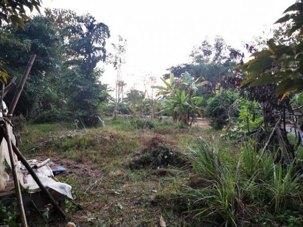 �ѹ���� �� tayapornaik1