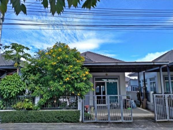 �ҧ���ا �� Ingfar Pearkaew