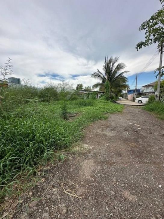 �ǹ��ǧ �� sopa