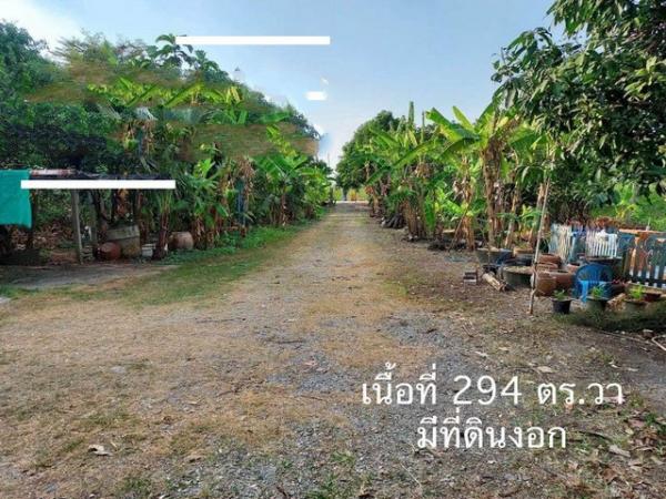 ������� �� kantapon4