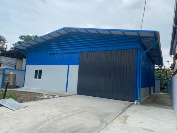 ���⡴ѧ �֧����