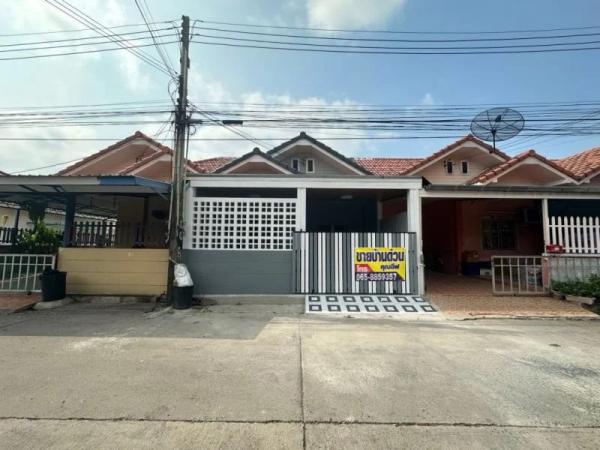 ��ҹ���ͧ �� Ingfar Pearkaew