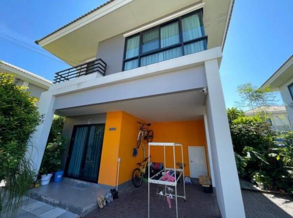 ��ҹ 51 ���ҧ��