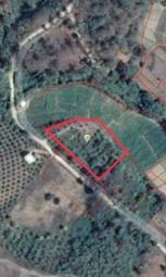 ��� ���Թ