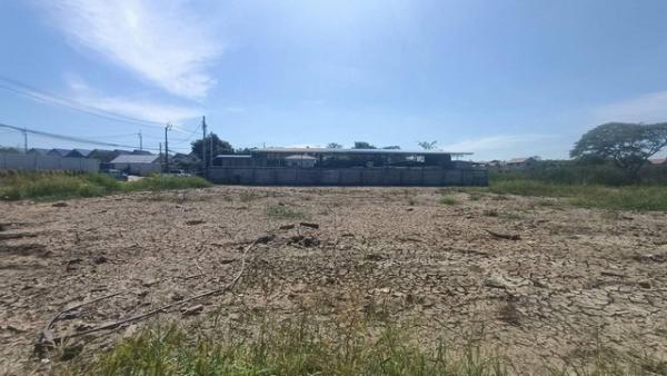 ��¤�ͧ����� �� asanghapl