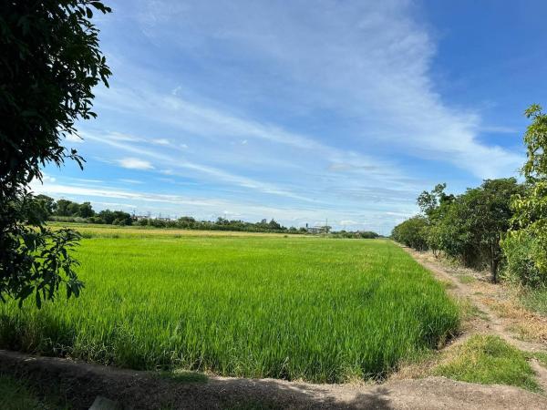 ������� �� Anutta thongdet