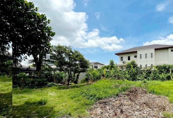 ���⢹� �� Anutta thongdet