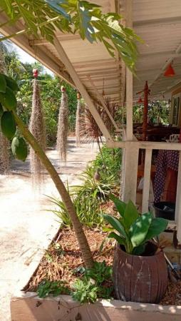 ��º�ҹ ����ҧ ྪú���