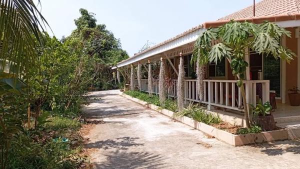 ��º�ҹ ����ҧ ྪú���