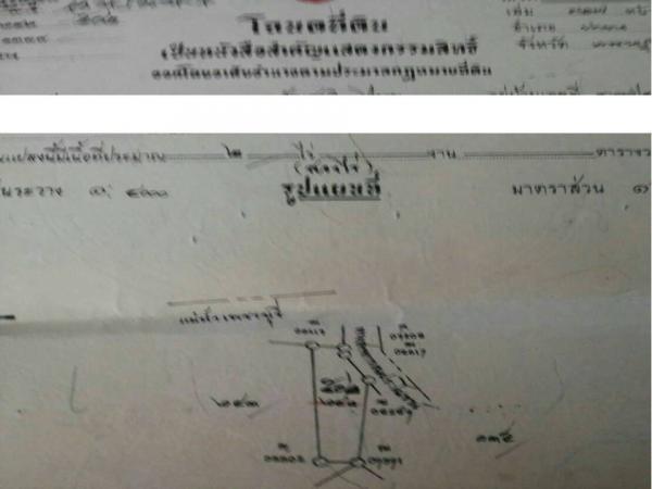 ��º�ҹ ����ҧ ྪú���