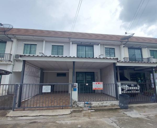 �����¹��� ���˹����ѧ�������Ѿ��