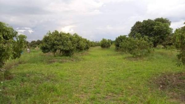 �ҧ�� �� northern1