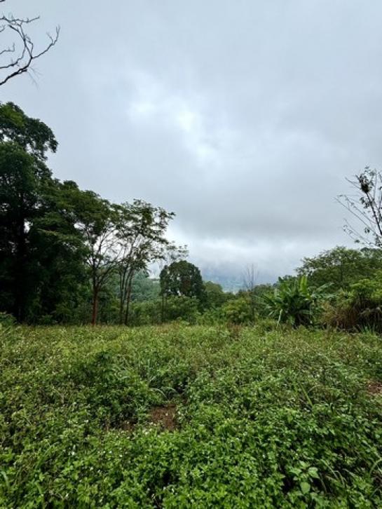 ������ �� sopa