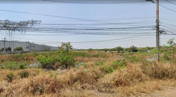 ���Թ 38 ���