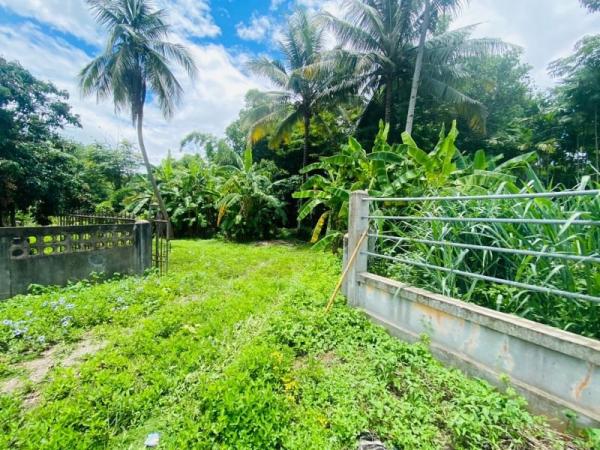 ���Թ���ᵧ �� Sawasdee