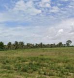 ��·��Թ �Ҥһ�С�Ȣ�� 55,461,000 �ҷ