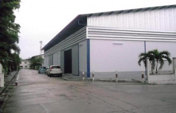 �ç�ҹ 9 ���