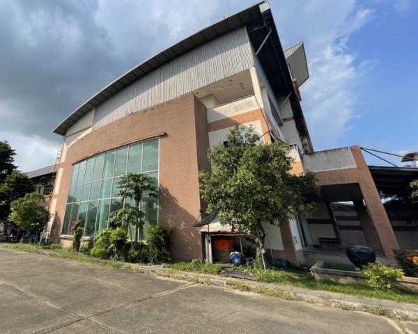 ��»����ҹ� �� Kong property