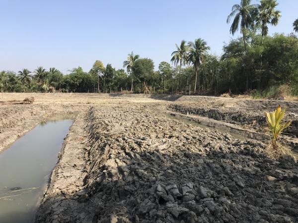 ��¹�û�� �� pazarestate1