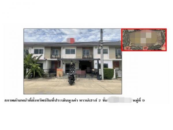 ��¹������ �� compos2566