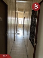 ;鹷 29 ҧ
