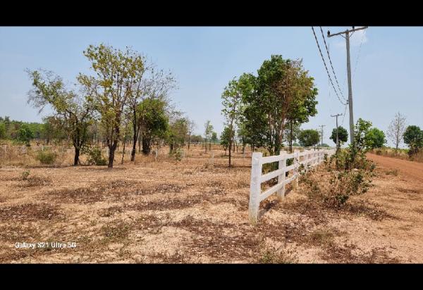 ที่ดิน 4 ไร่ ที่ดิน 4 ไร่